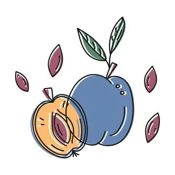 Outline vector illustration of plums whole and cut with pits in doodle style イラスト素材