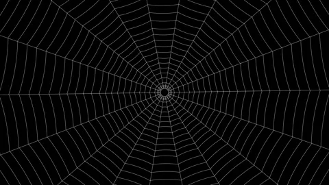 Outline vector white spider web on black background. Seamless animation of .. Stock Footage 300854340