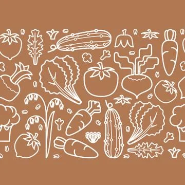 Outline vegetables. Striped seamless pattern. Ornamental border. Vector. Illustrazione stock