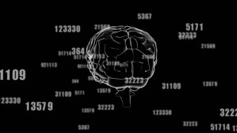 Outlined 3D brain rotating after numeric codes appearing then reversing, Stock Footage 311226716