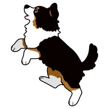 Outlined Black Tri Australian Shepherd dog jumping Stock Illustration