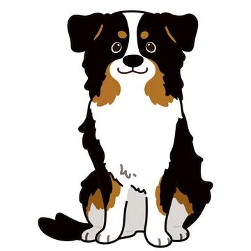 Outlined Black Tri Australian Shepherd dog sitting in front view Stock Illustration