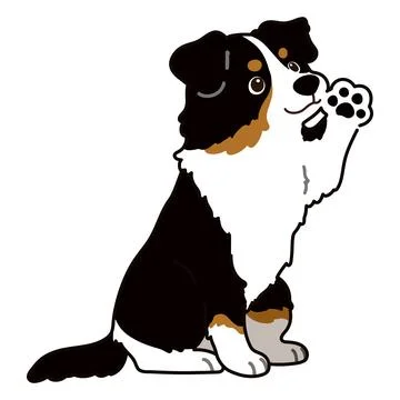 Outlined Black Tri Australian Shepherd dog sitting waving hand Stock Illustration
