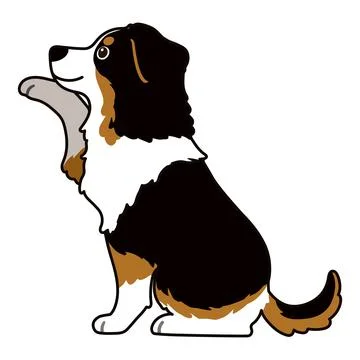 Outlined Black Tri Australian Shepherd sitting shaking hand in side view Иллюстрация