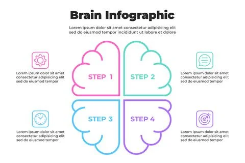 Outlined brain infographic with quadrant division Stock Illustration
