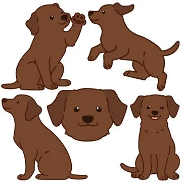 Outlined chocolate Labrador illustrations set Stock Illustration