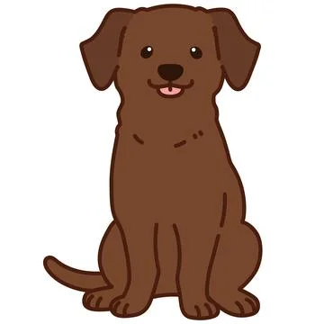 Outlined chocolate Labrador sitting front view Stock Illustration
