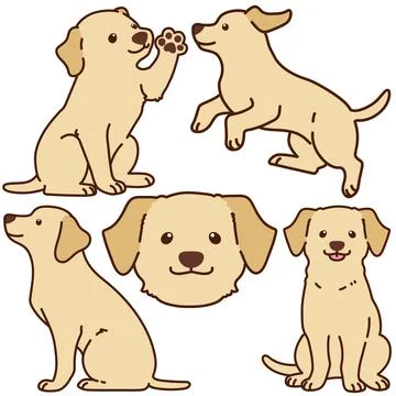 Outlined cream Labrador illustrations set Stock Illustration