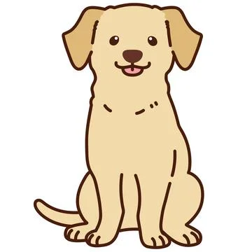 Outlined cream Labrador sitting front view Stock Illustration