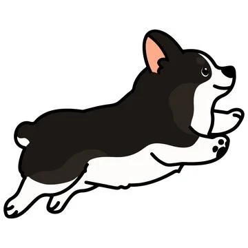 Outlined cute black colored Corgi jumping in side view Stock Illustration
