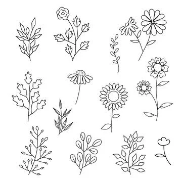 Outlined Floral Vector Illustration Pack Illustrazione stock