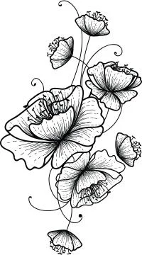 Outlined flowers bunch vector image Stock Illustration