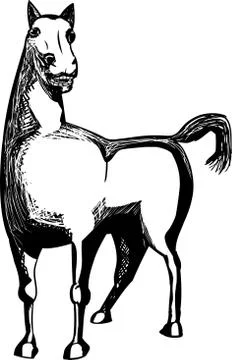 Outlined Horse Illustration Stock Illustration