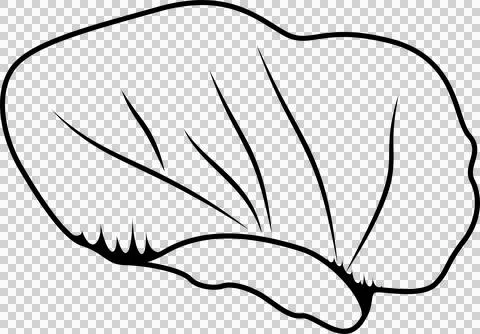 Outlined leafy vector shape is floating on transparent background showing veins Stock Illustration