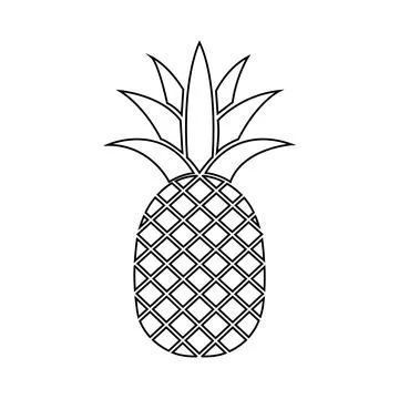 Outlined pineapple displays geometric pattern against a simple white backdr.. Stock Illustration