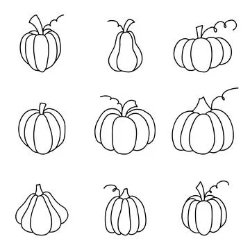 Outlined pumpkin. Set of pumpkins in doodle style. Vector illustration on w.. Illustrazione stock
