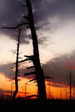 Outlined red sunset Stock Photos