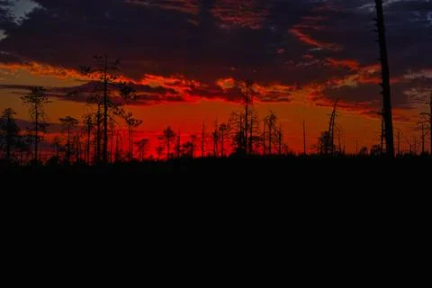 The outlined red sunset Stock Photos