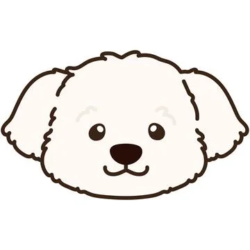 Outlined simple and adorable white Maltese dog front head illustration Stock Illustration