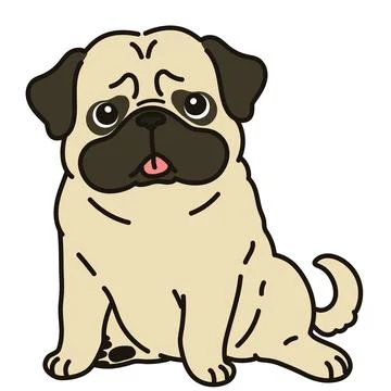 Outlined simple and cute pug sitting in front view Stock Illustration