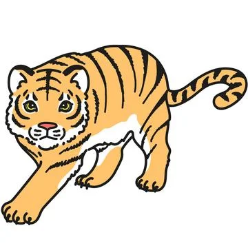 Outlined simple tiger walking and approaching illustration Stock Illustration
