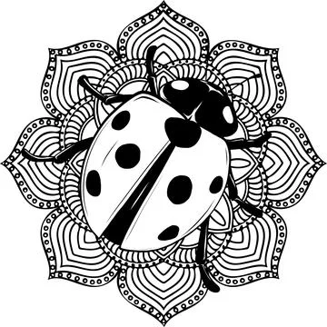 Outlined vector illustration hand drawing of ladybug Illustrazione stock