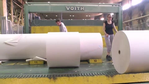 Output of finished paper from the paper machine Video stock 270747542
