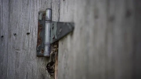 Outside backyard fence hinge opens and shuts, rusty black hinge Video stock 140156888