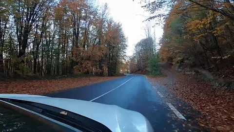 Outside car right side a white suv in the countryside colorful forest hd (2) Stock Footage 123407481