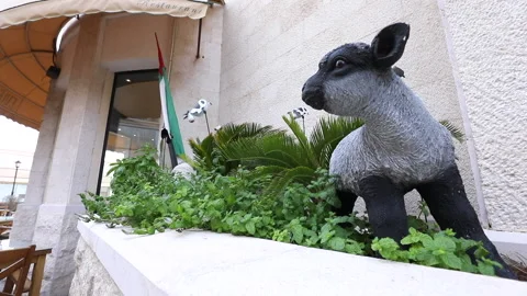 Outside decorations style Stock Footage 146582109