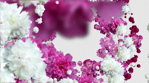 Outside flowers transition, White, red and pink flowers VFX Cut, alpha channel Stock Footage 221719712