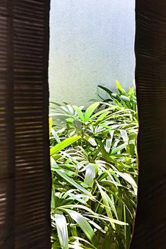Outside garden view from a window or door Stock Photos