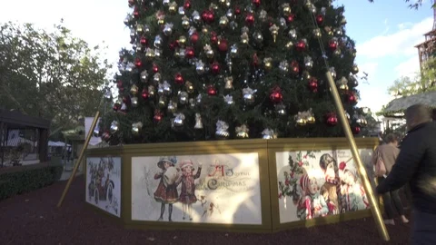 Outside Large Christmas Tree Stock Footage 112893798
