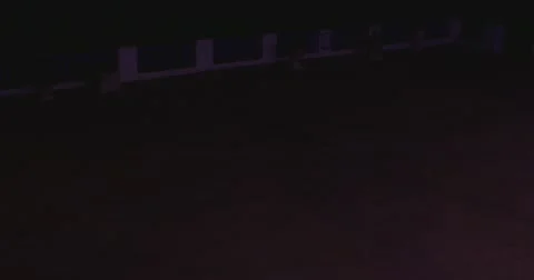 Outside the museum Stock Footage 62759861