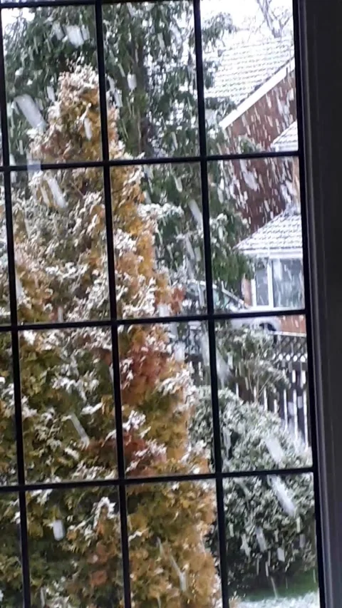 Outside my window the snow is falling Stock Footage 171411213