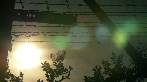 Outside of a prison camp Stock Footage 56965528