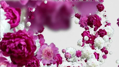 Outside random flowers transition, White, red and pink flowers, alpha channel Stock Footage 221719755