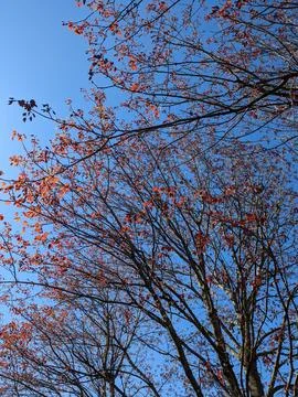 Outside Sky Stock Photos