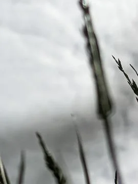 Outside Sky Stock Photos