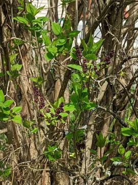 Outside Sky Stock Photos