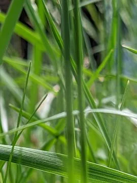 Outside Sky Stock Photos