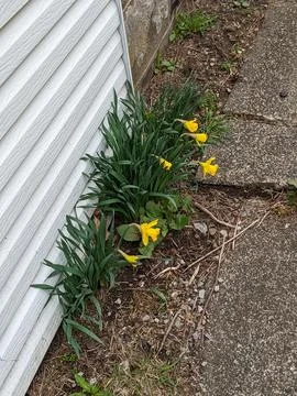 Outside Sky Stock Photos