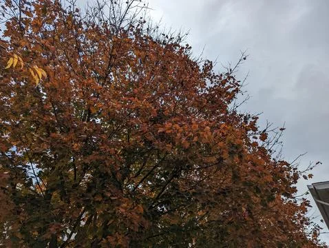 Outside Sky Stock Photos