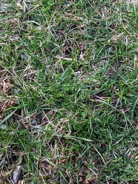 Outside Sky Stock Photos