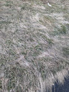 Outside Sky Stock Photos