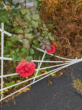 Outside Sky Stock Photos