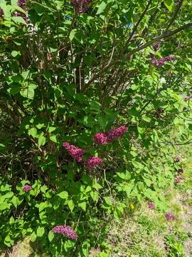 Outside Sky Stock Photos