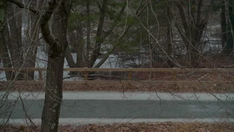 Outside Snowfall Walking Path At Night Stock-Footage 147886573