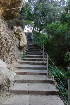 Outside staircase with plants Foto stock