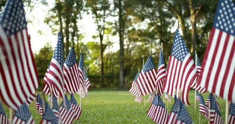 Outside in sunlight passing through rows of slow waving US American flags. Stock Footage 282472825